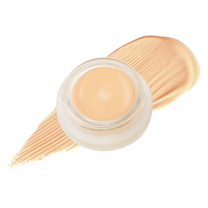 Duet Perfecting Concealer