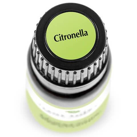 Citronella Essential Oil