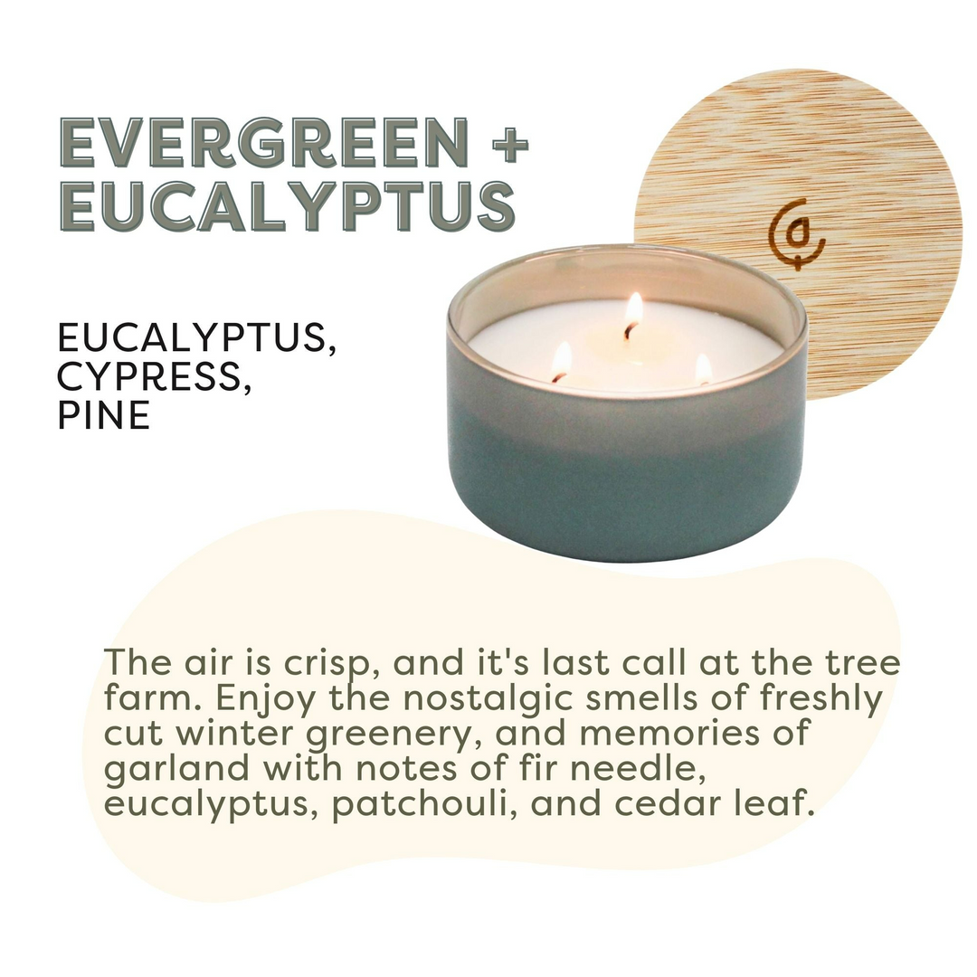 Resilience - Evergreen + Eucalyptus