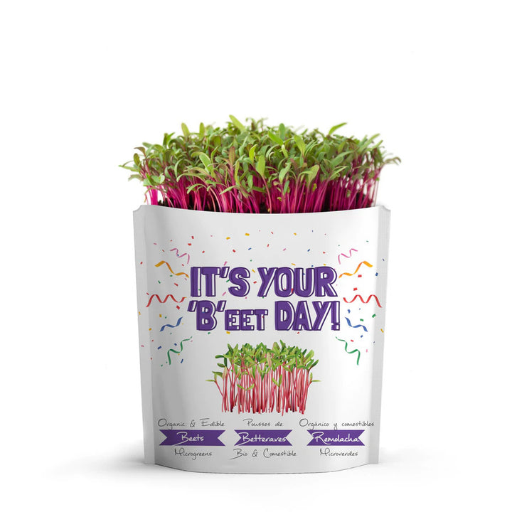 It's Your Beet Day