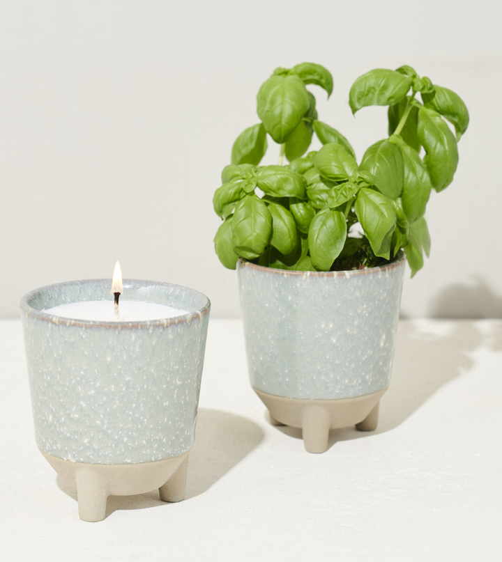 Glow & Grow - Candle Herb Garden